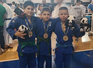 14. međunarodni turnir „Trofej Beočina“ 2024